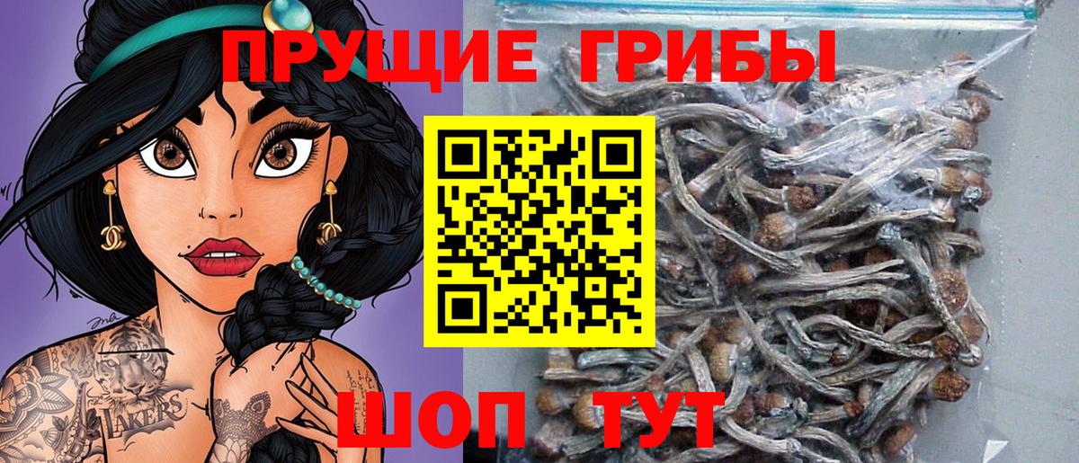 Донской  Псилоцибиновые грибы ЛСД  Вход с VPN  Псилоцибиновые грибы мицелий 