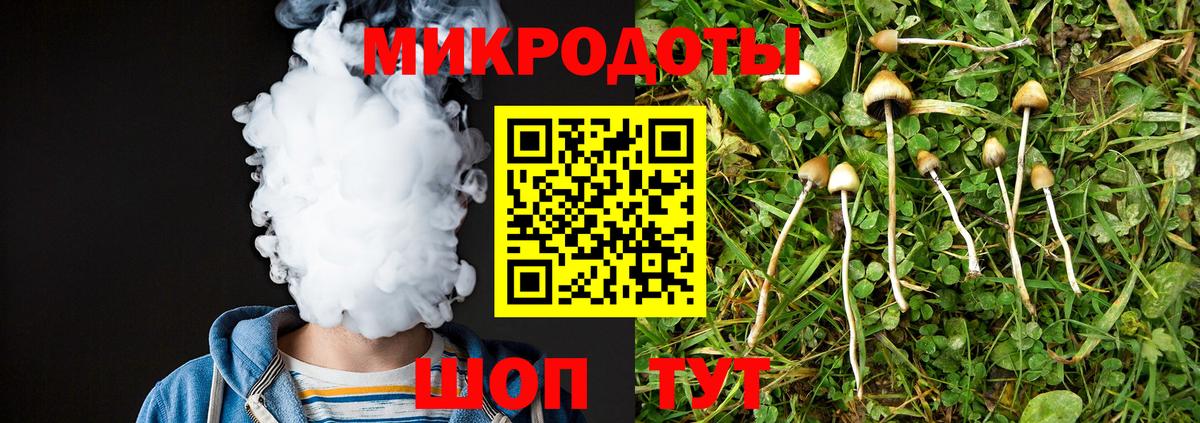 Псилоцибиновые грибы мицелий Донской